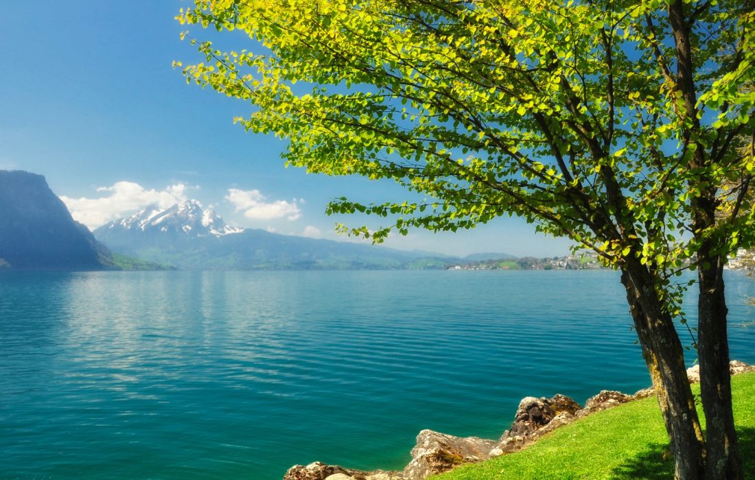 دریاچه زریبار