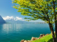 دریاچه زریبار